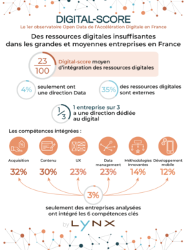 Des ressources digital insuffisantes dans les grandes et moyennes entreprises en France